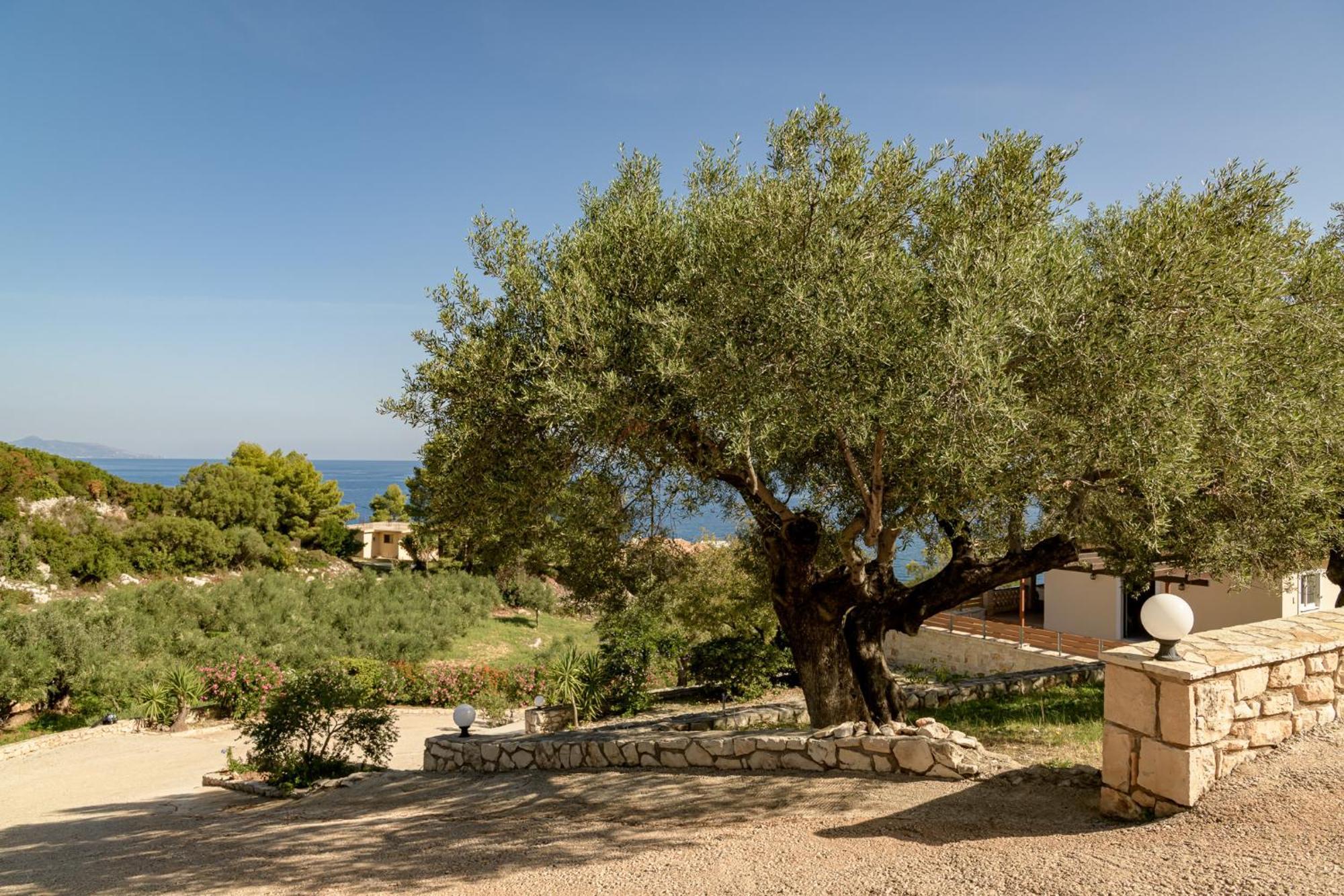 Villa Mare Studios Skinaria Exterior photo
